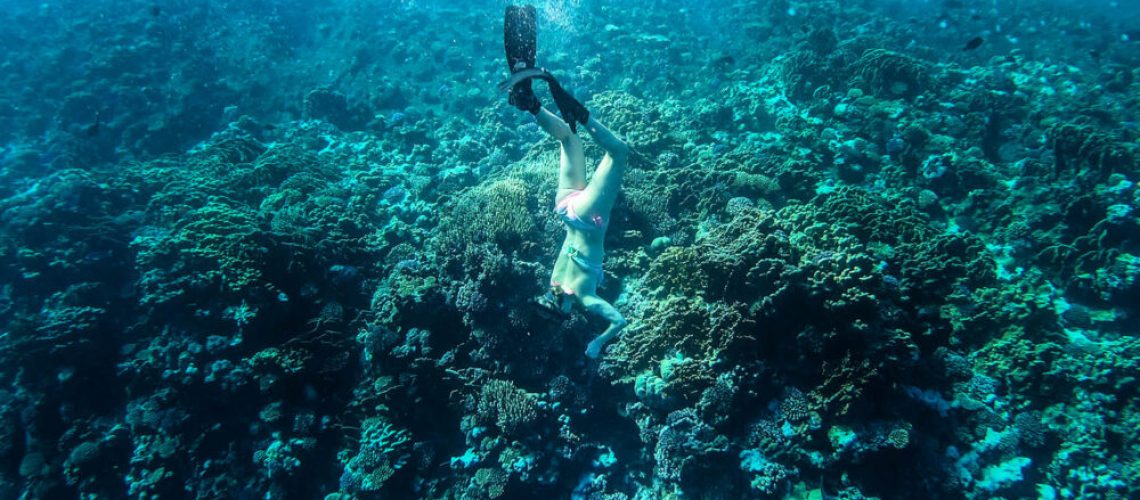 tourist-snorkeling-turquoise-red-sea-egypt-P9UDVJ5-e1620747880572.jpg